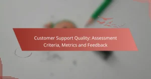 Customer Support Quality: Assessment Criteria, Metrics and Feedback