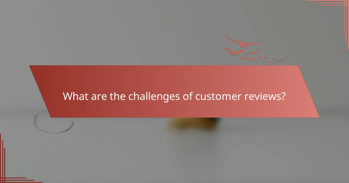 What are the challenges of customer reviews?