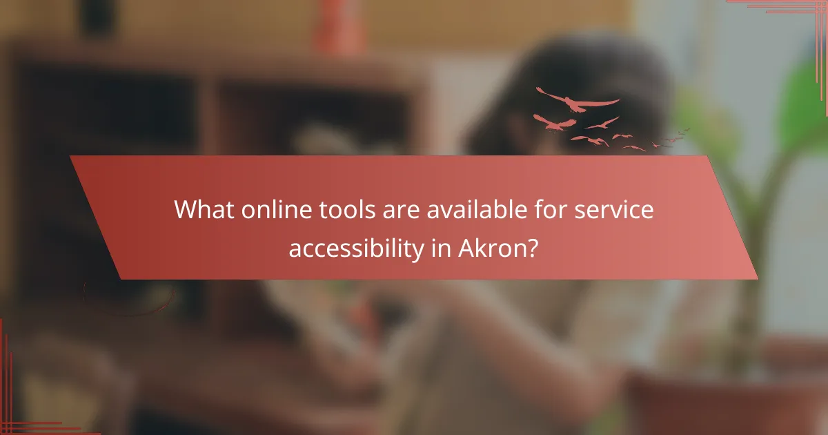 What online tools are available for service accessibility in Akron?