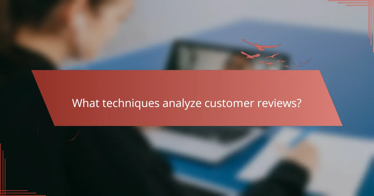 What techniques analyze customer reviews?